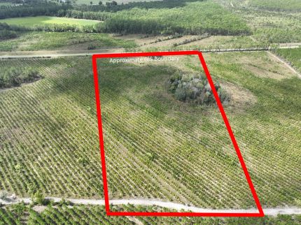 Timberland Property for sale in Ware County, Georgia
