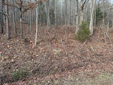 Land for sale in Polk County, Georgia