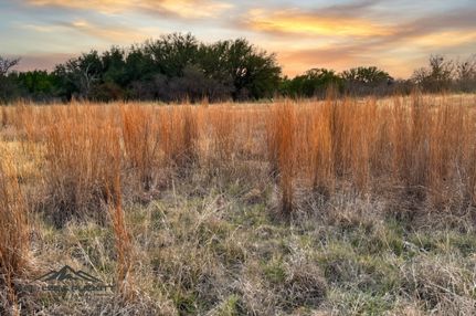 Farm and Ranch for sale in Coleman County, Texas