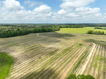 Timberland Property for sale in Houston County, Alabama