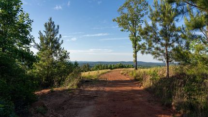 Farm and Ranch for sale in Cleburne County, Alabama
