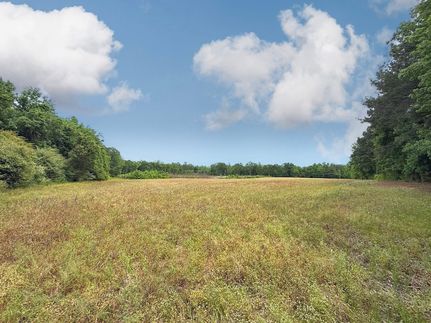 Farm and Ranch for sale in Florence County, South Carolina