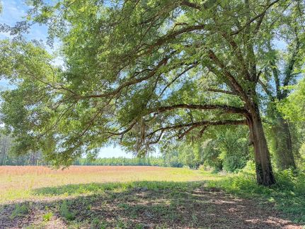 Farm and Ranch for sale in Marion County, South Carolina