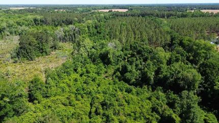 Land for sale in Bulloch County, Georgia