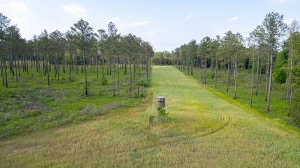 Farm and Ranch for sale in Oktibbeha County, Mississippi