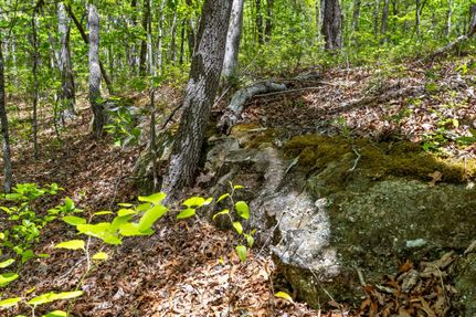 Timberland Property for sale in Franklin County, Tennessee