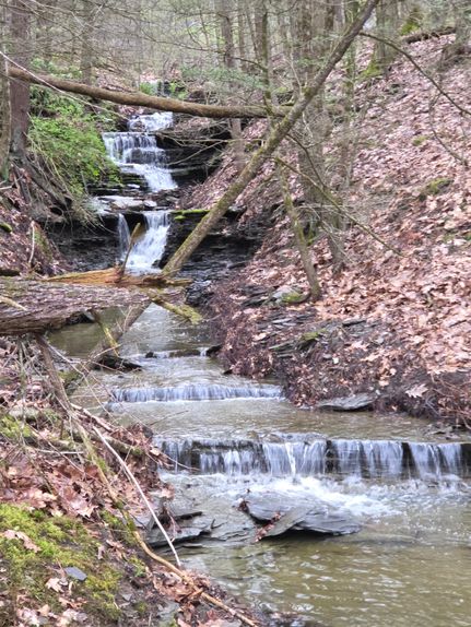Timberland Property for sale in Yates County, New York