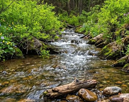Timberland Property for sale in Boise County, Idaho