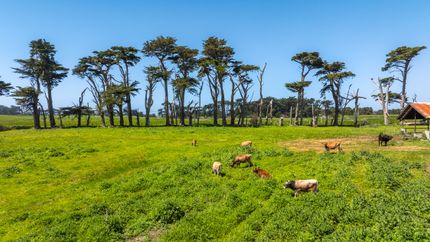 Recreational Property for sale in Mendocino County, California