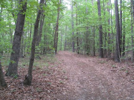 Land for sale in Buckingham County, Virginia