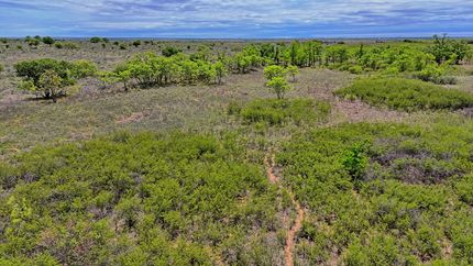 Hunting Property for sale in Hardeman County, Texas