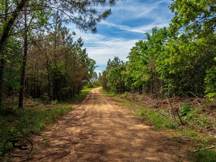 Timberland Property for sale in Chester County, Tennessee