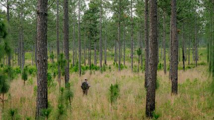 Timberland Property for sale in Worth County, Georgia