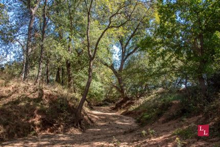 Undeveloped Land for sale in Jefferson County, Oklahoma