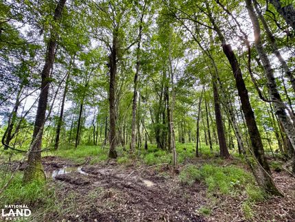 Land for sale in Laurens County, Georgia