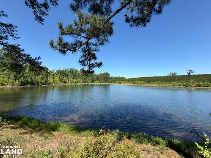 Land for sale in Henry County, Alabama