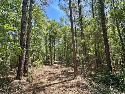Farm and Ranch for sale in Simpson County, Mississippi