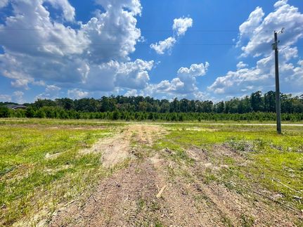 Farm and Ranch for sale in Dillon County, South Carolina