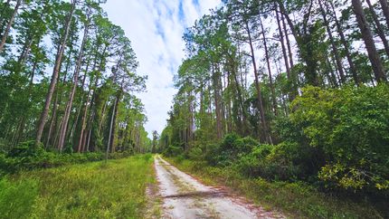 Land for sale in Putnam County, Florida