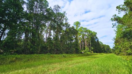 Farm and Ranch for sale in Putnam County, Florida
