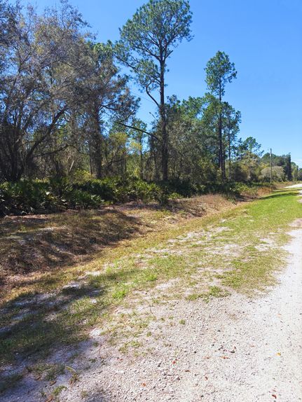 Farm and Ranch for sale in Putnam County, Florida