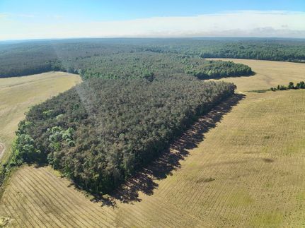 Land for sale in Benton County, Mississippi