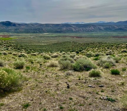 Farm and Ranch for sale in Elko County, Nevada