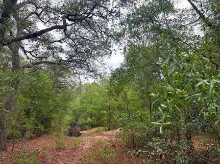 Farm and Ranch for sale in Pierce County, Georgia