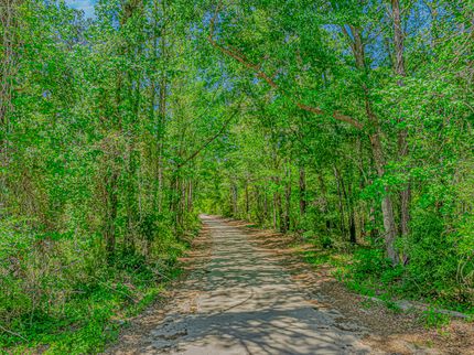 Farm and Ranch for sale in Marion County, South Carolina