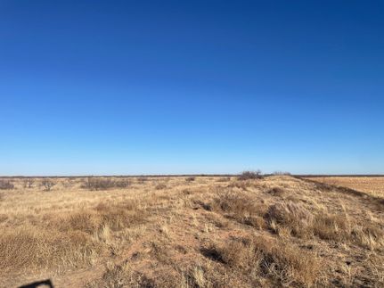 Land for sale in Gaines County, Texas