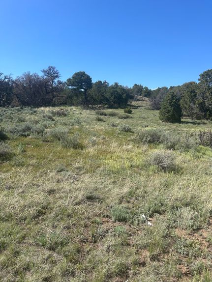 Land for sale in Huerfano County, Colorado