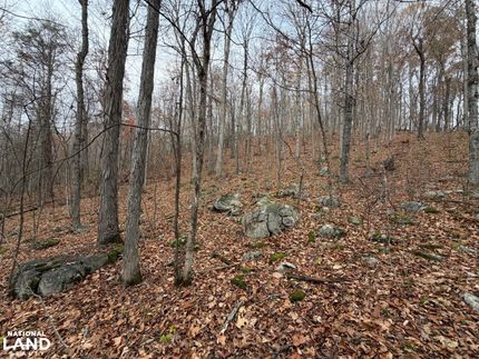 Timberland Property for sale in Bath County, Virginia