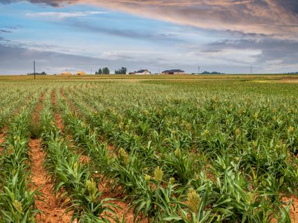 Commercial Property for sale in Hockley County, Texas