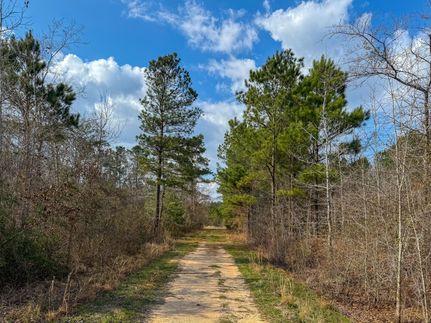 Recreational Property for sale in Panola County, Texas