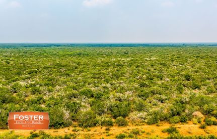 Farm and Ranch for sale in Jim Wells County, Texas