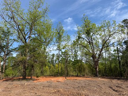 Hunting Property for sale in Clarke County, Mississippi