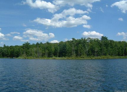 Recreational Property for sale in Sullivan County, New York