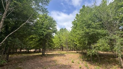 Undeveloped Land for sale in Red River County, Texas