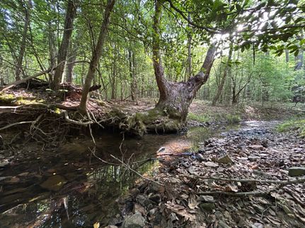 Land for sale in Wake County, North Carolina