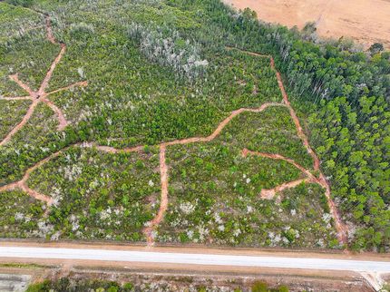 Land for sale in Pierce County, Georgia