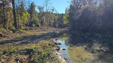 Land for sale in Carroll County, Mississippi
