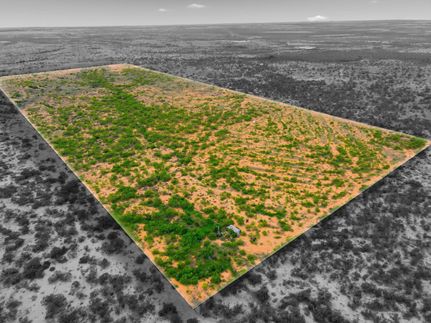 Land for sale in Fisher County, Texas