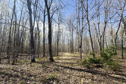 Timberland Property for sale in Sawyer County, Wisconsin