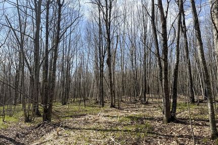 Farm and Ranch for sale in Sawyer County, Wisconsin