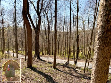 Land for sale in Gallia County, Ohio