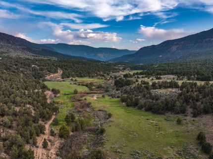Timberland Property for sale in Montezuma County, Colorado