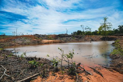 Timberland Property for sale in Union County, Mississippi