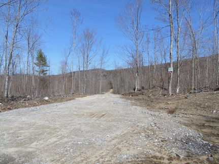 Undeveloped Land for sale in Oxford County, Maine