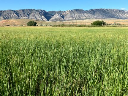House for sale in Big Horn County, Wyoming
