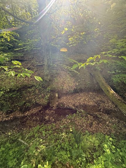 Land for sale in Elliott County, Kentucky